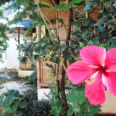 Pagdayon Traveler'S Inn Puerto Princesa ภายนอก รูปภาพ